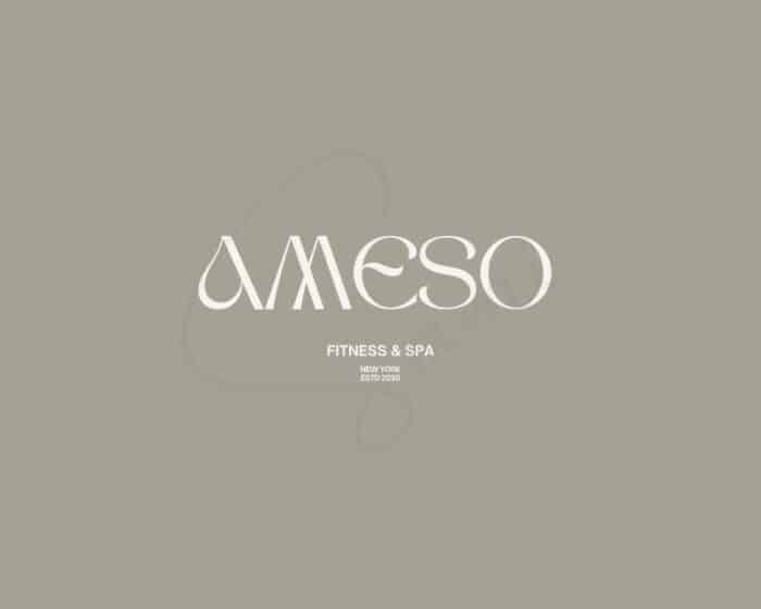 AMESO - Image 2