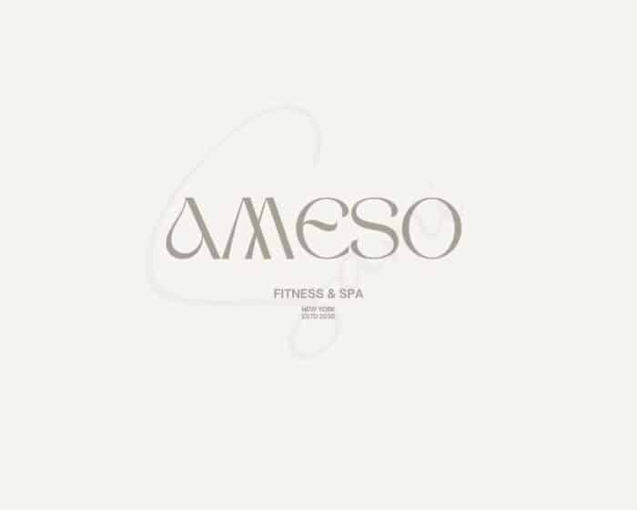 AMESO - Image 3